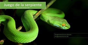 Live coding serpiente